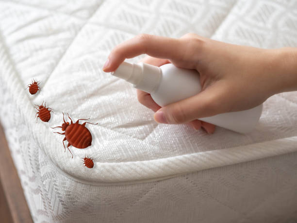 Best Emergency Pest Control  in Perry, KS